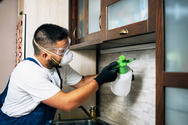 Trusted Los Alamos, NM Pest Control Experts