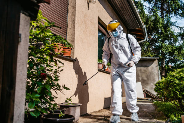 Best Mosquito Control Services  in Los Alamos, NM