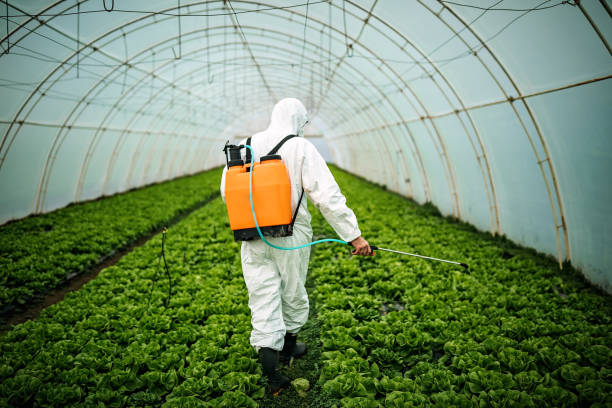 Los Alamos, NM Pest Control Pros