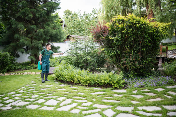 Wasp Removal Services in Los Alamos, NM