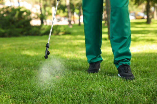 Best Mosquito Control Services  in Los Alamos, NM