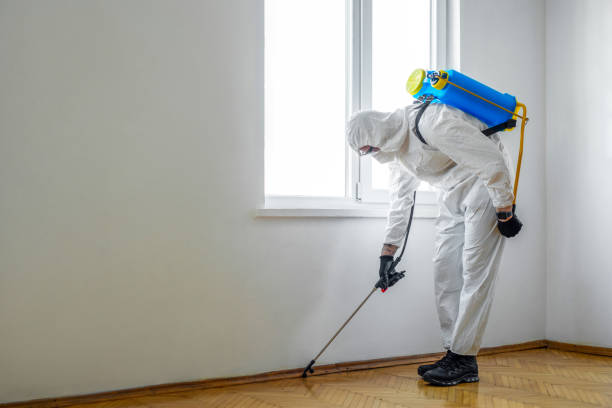 Best Pest Inspection Near Me  in Los Alamos, NM