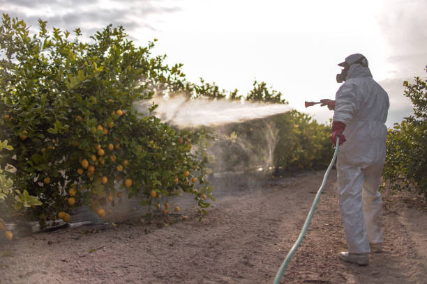 Best Best Pest Control Companies  in Los Alamos, NM