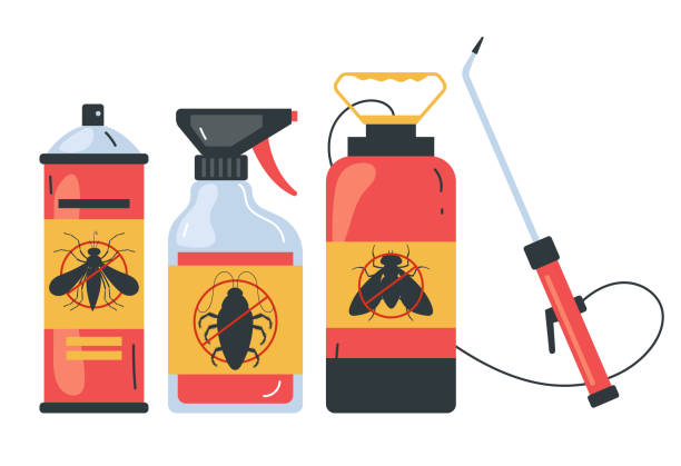Best Termite Control Services  in Los Alamos, NM