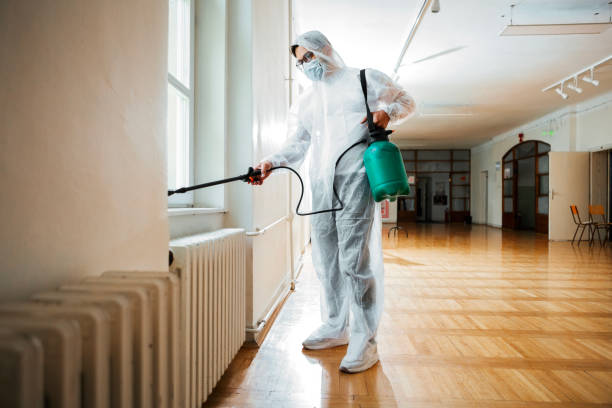 Best Flea Control Services  in Los Alamos, NM